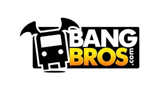 Bang Bros Site Channels 